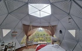 Pom Gratz - Ecodomes