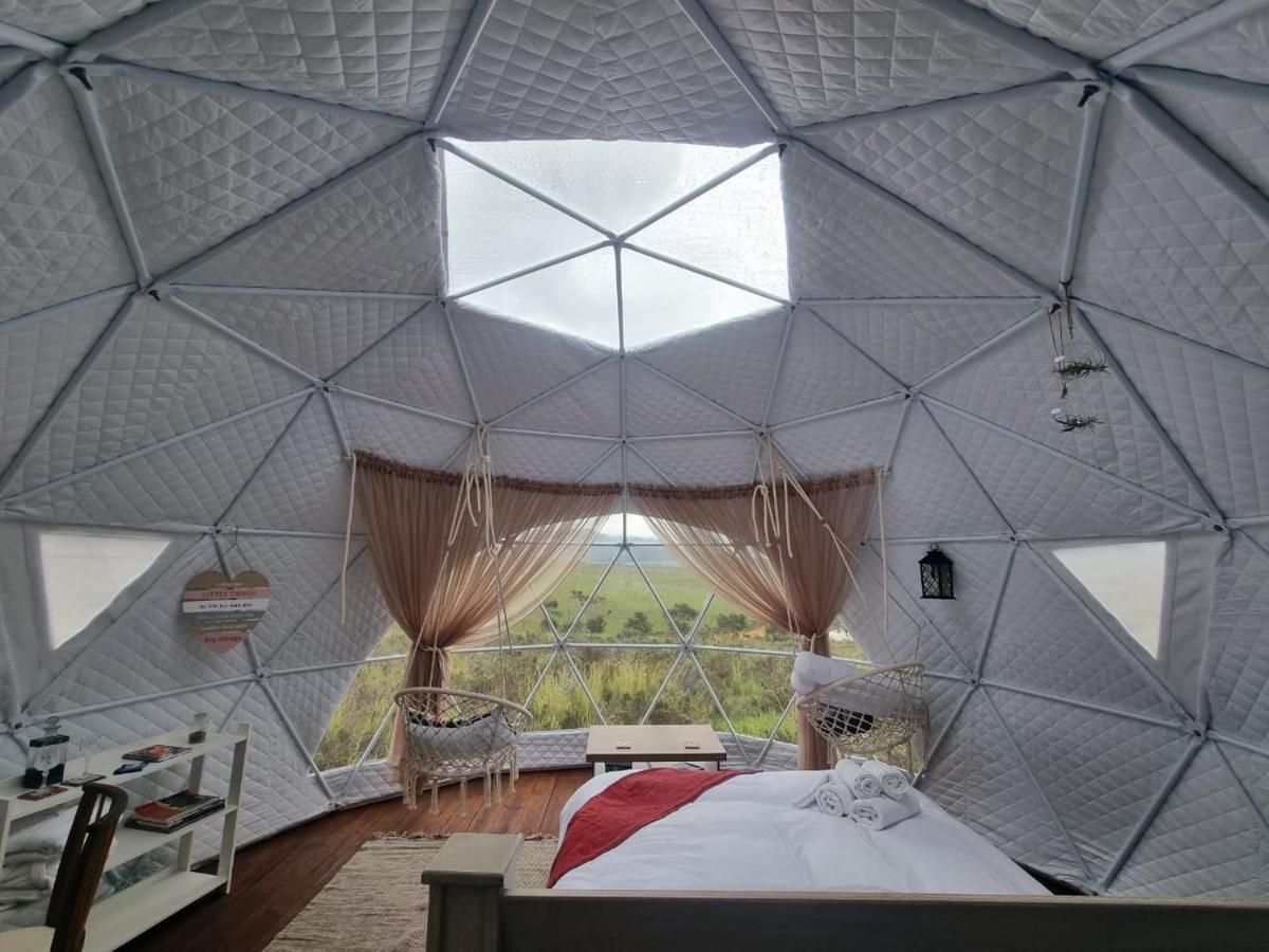 Pom Gratz - Ecodomes Hotel Hartebeesrivier Buitenkant foto