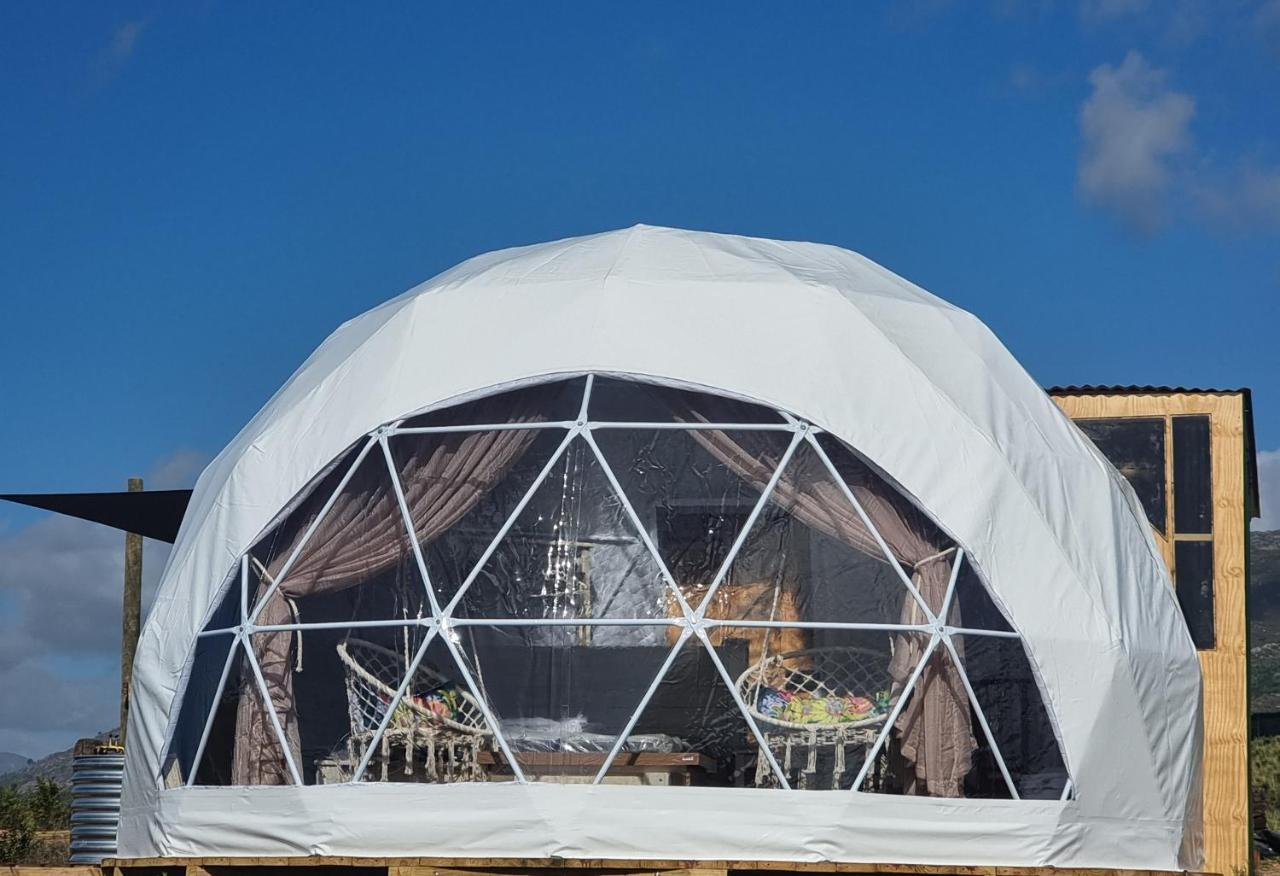 Pom Gratz - Ecodomes Hotel Hartebeesrivier Buitenkant foto