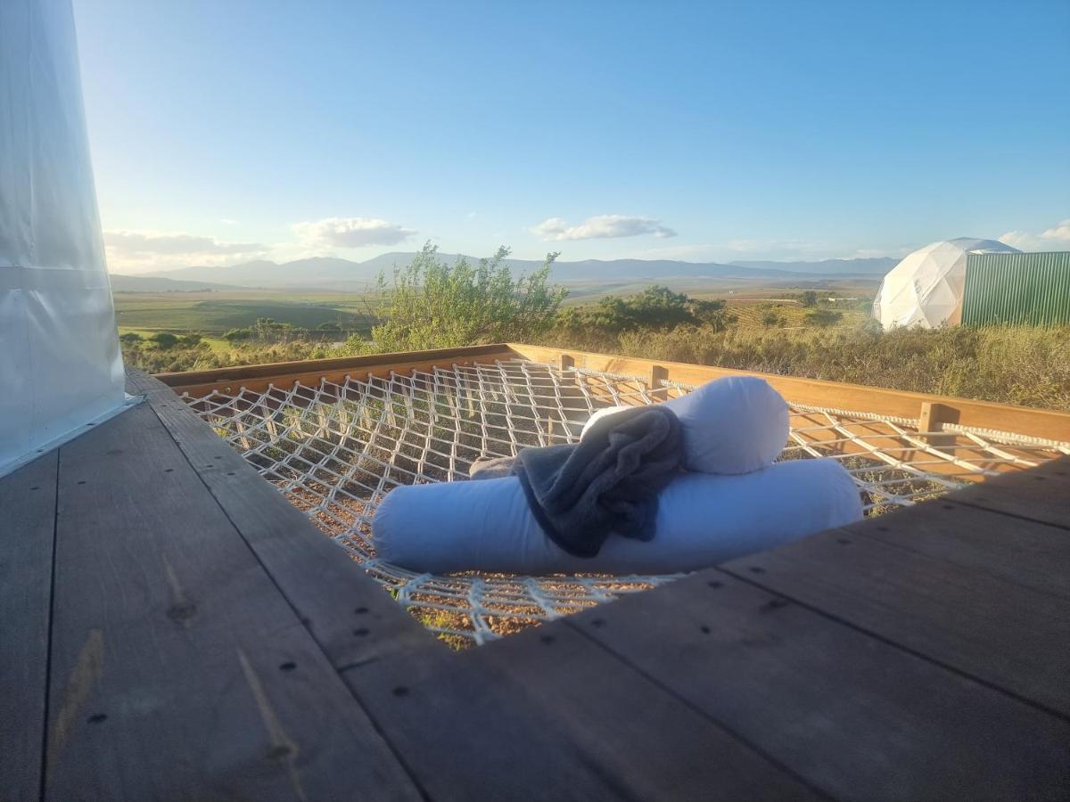 Pom Gratz - Ecodomes Hotel Hartebeesrivier Buitenkant foto