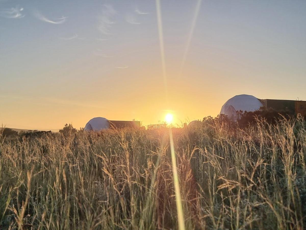 Pom Gratz - Ecodomes Hotel Hartebeesrivier Buitenkant foto