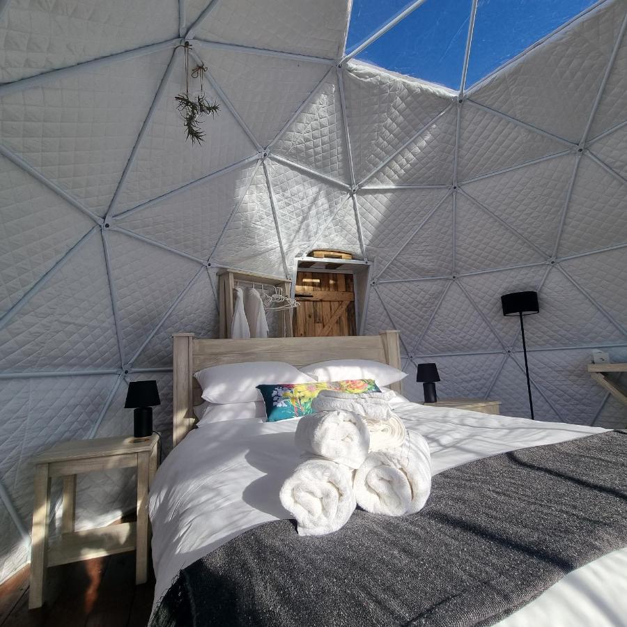 Pom Gratz - Ecodomes Hotel Hartebeesrivier Buitenkant foto